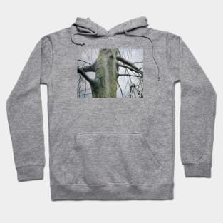 Lovetree Hoodie